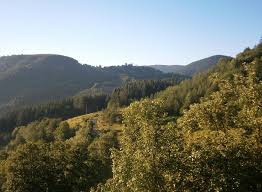 Ağlı Akçakese Köyü Resimleri 3