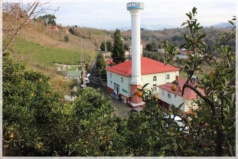 Eynesil Çorapçılar Köyü Resimleri 2