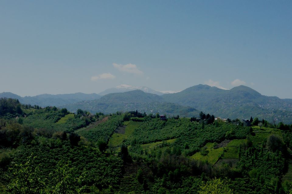 Eynesil Çorapçılar Köyü Resimleri 3