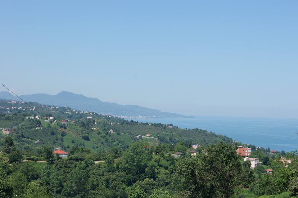 Eynesil Çorapçılar Köyü Resimleri 4