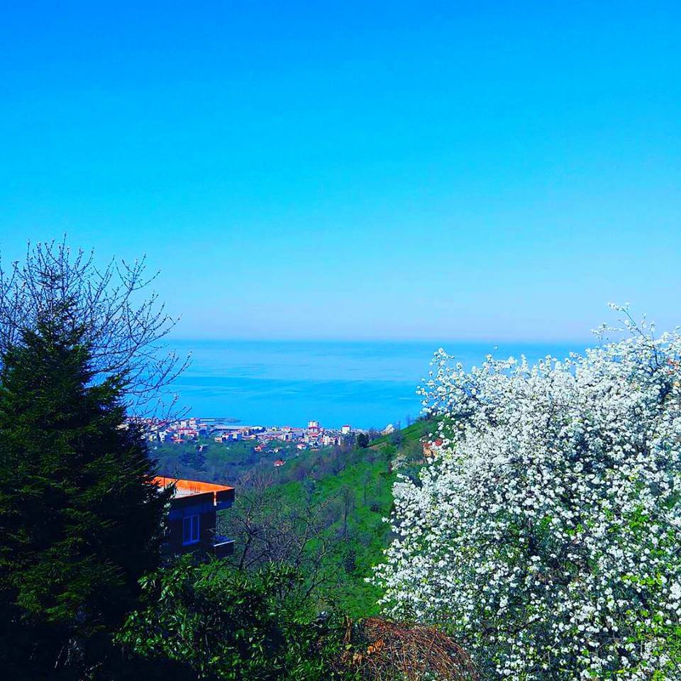 Eynesil Çorapçılar Köyü Resimleri 5