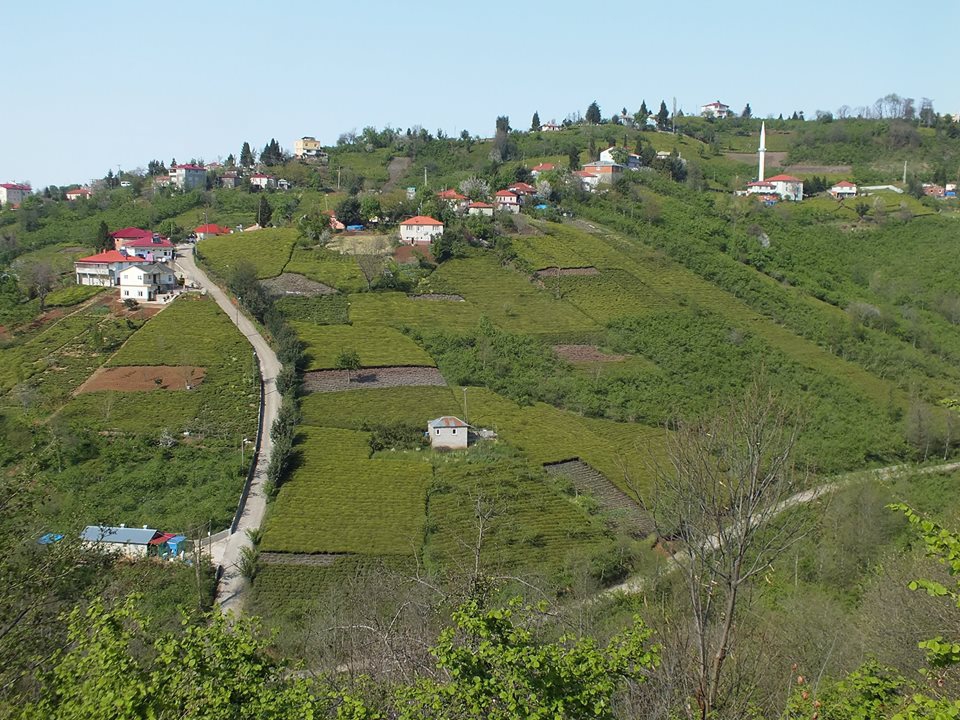 Eynesil Çorapçılar Köyü Resimleri 8