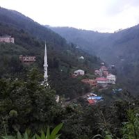 Eynesil Dereköy Köyü Resimleri 10