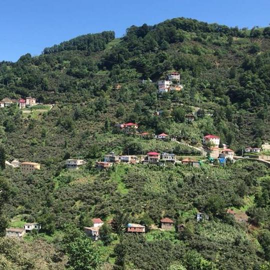 Eynesil Dereköy Köyü Resimleri 12