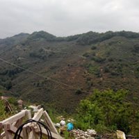 Eynesil Dereköy Köyü Resimleri 4