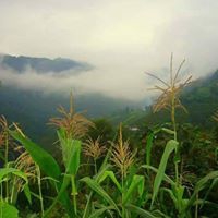 Eynesil Dereköy Köyü Resimleri 7