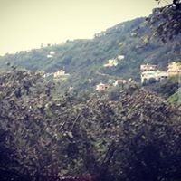 Eynesil Dereköy Köyü Resimleri 9