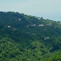 Eynesil İshaklı Köyü Resimleri 5