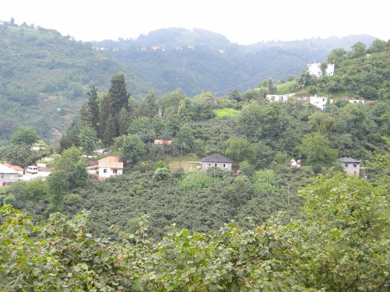 Eynesil Kekiktepe Köyü Resimleri 1