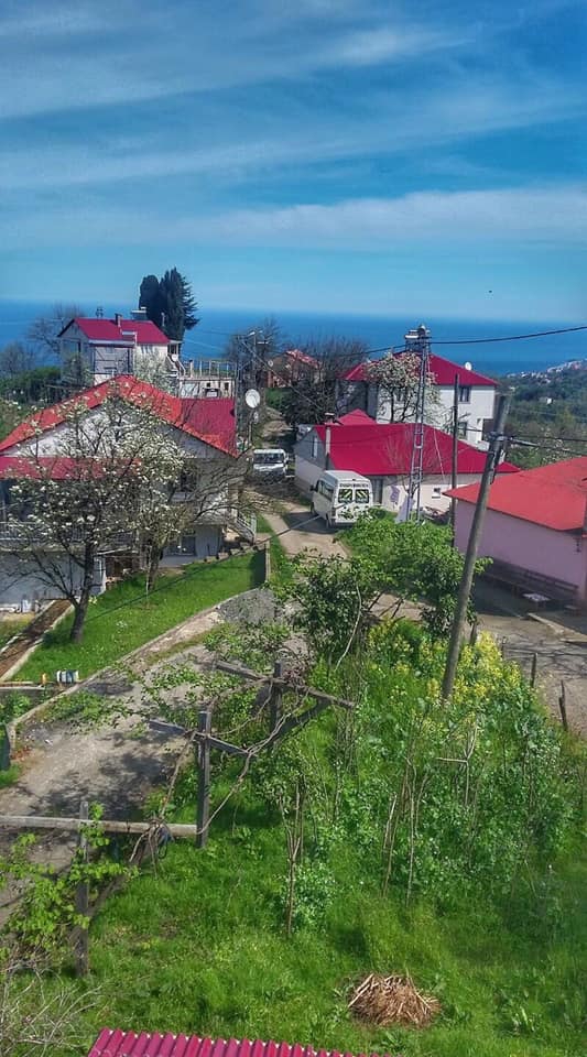 Eynesil Kekiktepe Köyü Resimleri 7