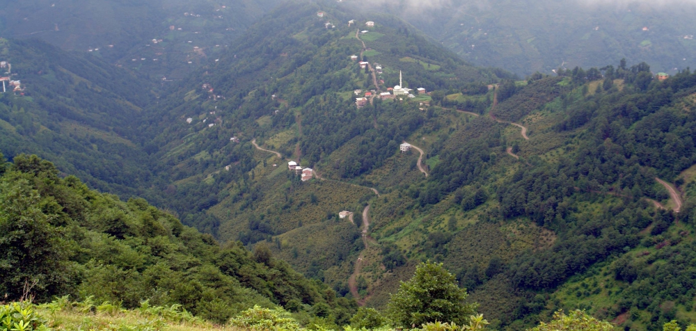 Eynesil Kemaliye Köyü Resimleri 1