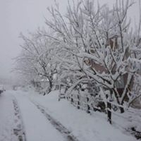 Eynesil Kemaliye Köyü Resimleri 2