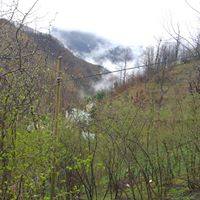 Eynesil Kemaliye Köyü Resimleri 6