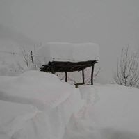 Eynesil Kösemen Köyü Resimleri 1