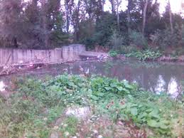 Ağlı Gölcüğez Köyü Resimleri 2