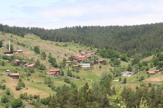 Ağlı Müsellimler Köyü Resimleri 1