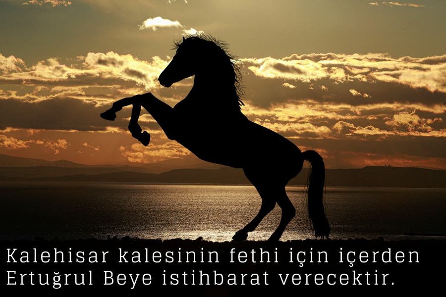 Atsız Bey Kimdir? 13