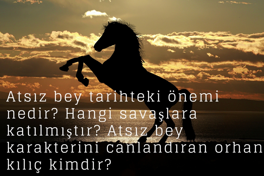 Atsız Bey Kimdir? 5