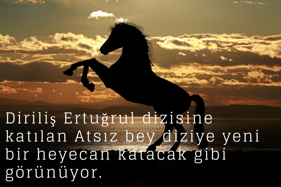 Atsız Bey Kimdir? 6