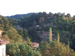 Yenice Alancık  Köyü Resimleri 1