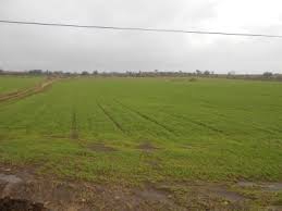 Yenice Alancık  Köyü Resimleri 4