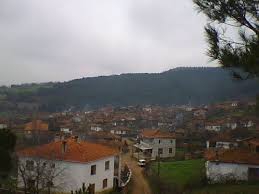 Yenice Alancık  Köyü Resimleri 5