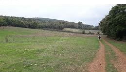 Yenice Araovacık  Köyü Resimleri 5