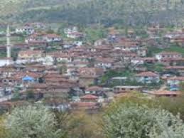 Yenice Armutcuk  Köyü Resimleri 1