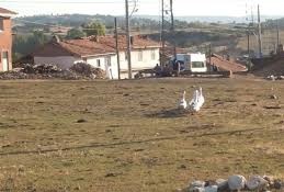 Yenice Armutcuk  Köyü Resimleri 7