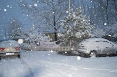 Yenice Bağlı  Köyü Resimleri 1