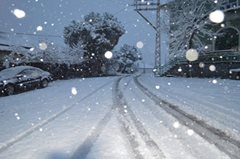 Yenice Bağlı  Köyü Resimleri 3