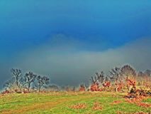 Yenice Bağlı  Köyü Resimleri 4