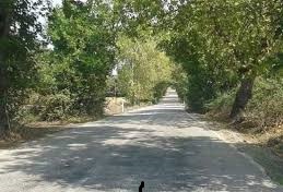 Yenice Ballıçay  Köyü Resimleri 10