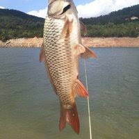 Yenice Ballıçay  Köyü Resimleri 8