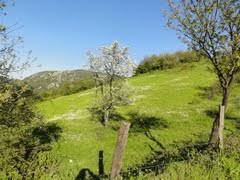 Yenice Cambaz  Köyü Resimleri 2