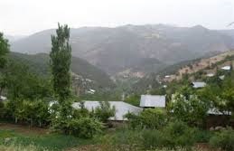 Yenice Cambaz  Köyü Resimleri 3