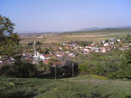 Yenice Cambaz  Köyü Resimleri 4