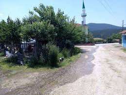Yenice Çamoba  Köyü Resimleri 1