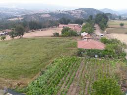 Yenice Çamoba  Köyü Resimleri 10