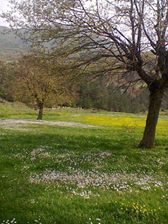 Yenice Çamoba  Köyü Resimleri 3