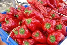 Yenice Çınarcık  Köyü Resimleri 7