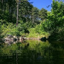 Yenice Çırpılar  Köyü Resimleri 2