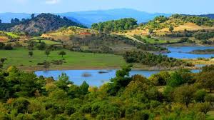 Yenice Çırpılar  Köyü Resimleri 5