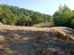 Yenice Hacıyusuflar  Köyü Resimleri 1