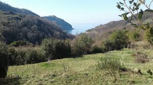 Yenice Hacıyusuflar  Köyü Resimleri 5