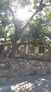 Yenice Hamdibey  Köyü Resimleri 5