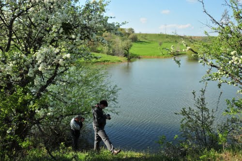 Eşme Gökçukur Köyü Resimleri 6