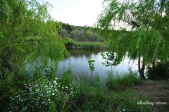 Eşme Gökçukur Köyü Resimleri 9
