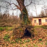 Yenice Hıdırlar  Köyü Resimleri 3