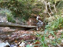 Yenice Hıdırlar  Köyü Resimleri 5